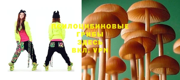 тгк Алексеевка