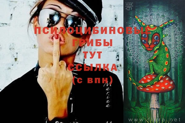 твердый Алзамай