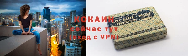 твердый Алзамай