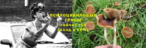 твердый Алзамай