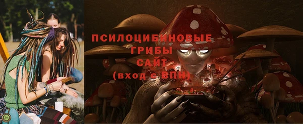 тгк Алексеевка