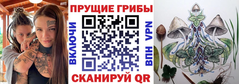Галлюциногенные грибы Cubensis  мега рабочий сайт  Тольятти 